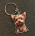 Yorkie